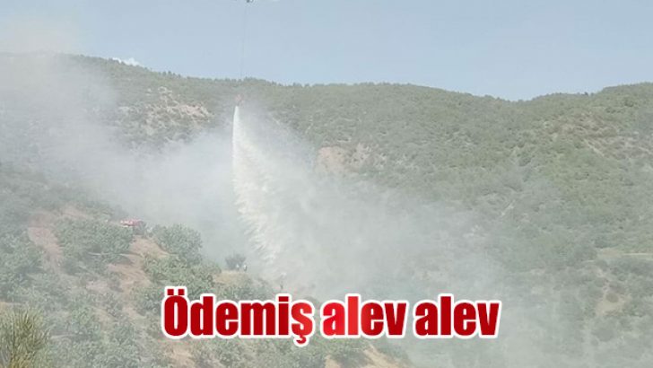 Ödemiş’te korkutan yangın