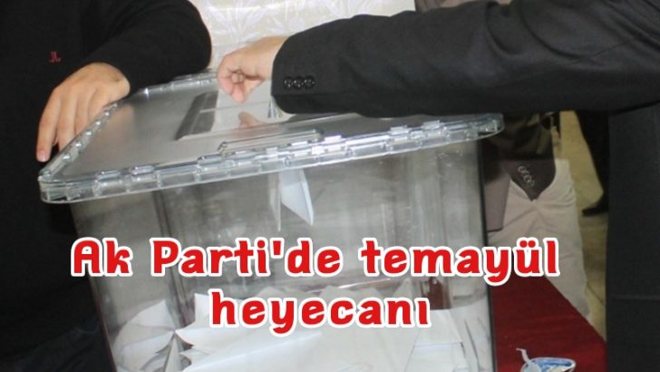 Ak Parti’de temayül heyecanı